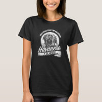 & cute Havanese est la réponse à toutes les questi