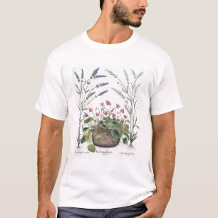 T-shirt Cyclamen et lavande : 1.Cyclamen Romanum ; 2.Spica