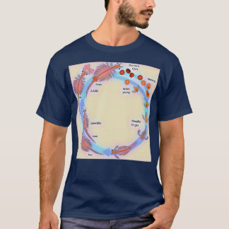 T-shirt Cycle de vie des crevettes de saumure
