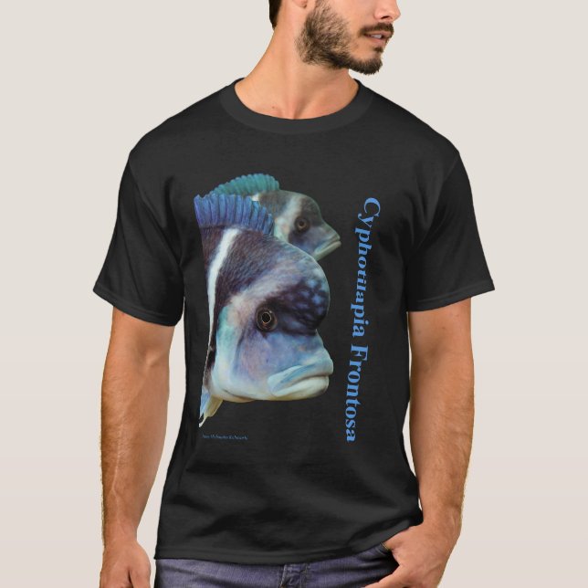 T-shirt Cyphotilapia frontosa (Devant)