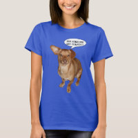 Dachshund Chien Traitements