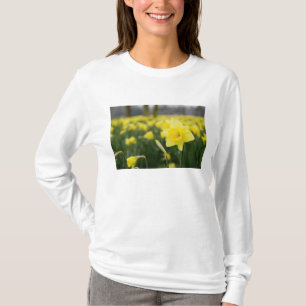 T-shirt Daffodils (RF)
