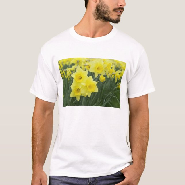 T-shirt Daffodils RF) (Devant)