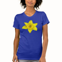 Daffodique jaune fleur de printemps aquarelle