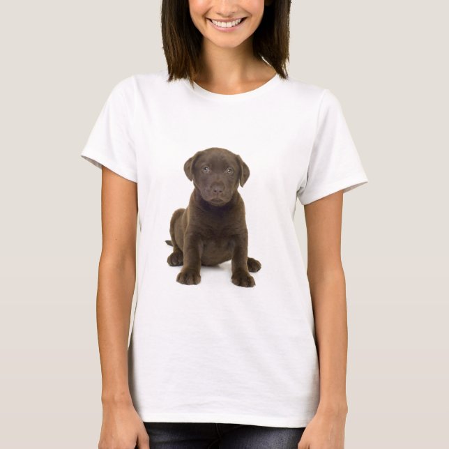 T-shirt Dames au chocolat Labrador (Devant)