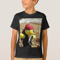 Danny Duck le Pirate