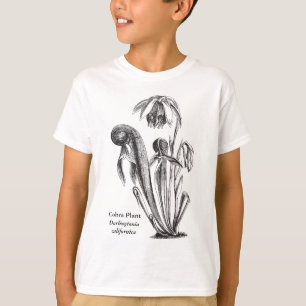 T-shirt Darlingtonia californica, Plante carnivore