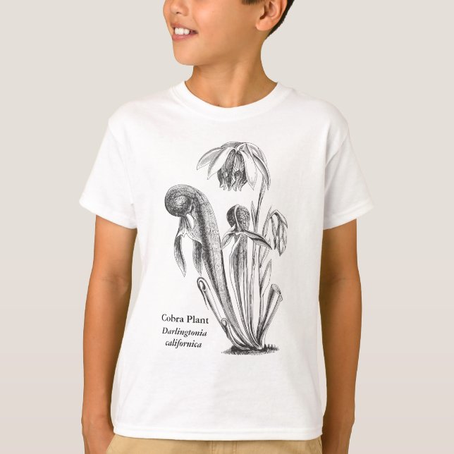 T-shirt Darlingtonia californica, Plante carnivore (Devant)