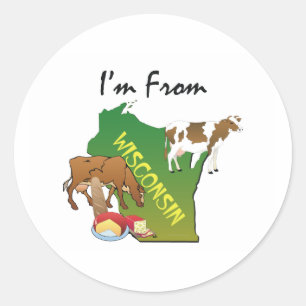T-SHIRT, das ich aus Wisconsin bin Runder Aufkleber