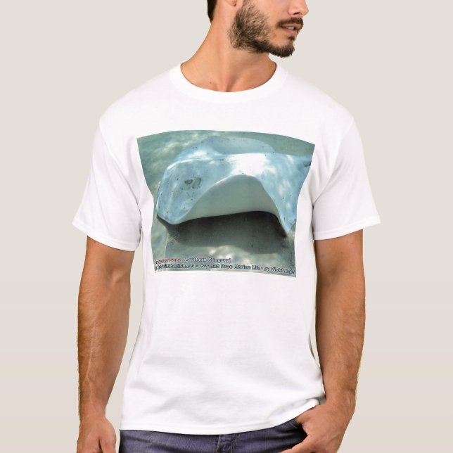 T-shirt Dasyatis americana (pastenague du sud albinos) (Devant)