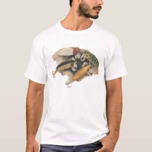 T-shirt d'attrait de jitterbug