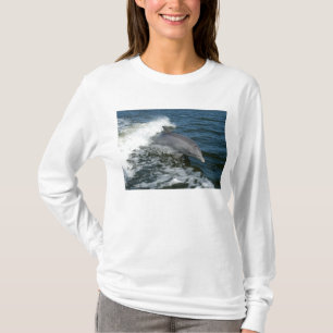 T-shirt Dauphin de Bottlenose