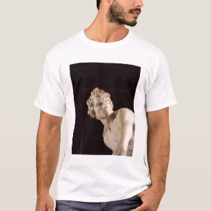 T-shirt David, 1623-24 (marbre) (détail)