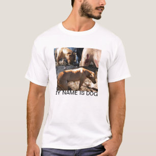 T-shirt de chien