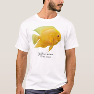 T-shirt de Cichlid de Severum d'or