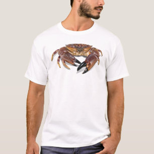 T-shirt de crabe en pierre de la Floride