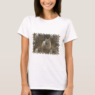 T-shirt de douille de race de chien de Samoyed