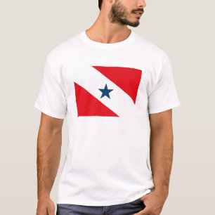 T-shirt de drapeau de Para