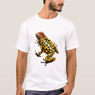 T-shirt de grenouille de dard de poison de