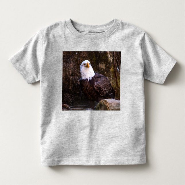 T-shirt de l'aigle à tête blanche (Devant)