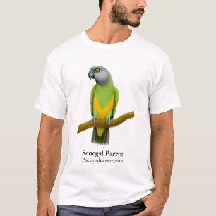 T-shirt de perroquet du Sénégal