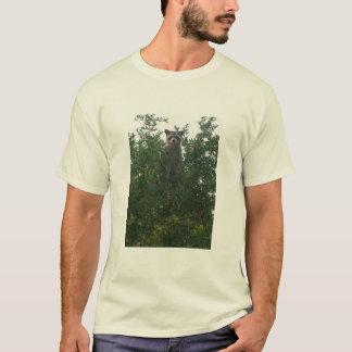 T-shirt de raton laveur