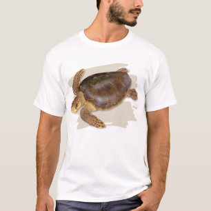 T-shirt de tortue de mer d'imbécile