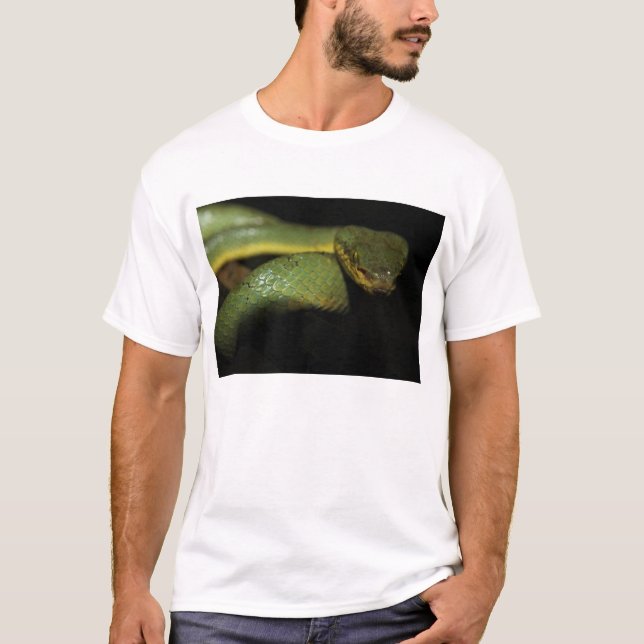 T-shirt de vipère de mine (Devant)