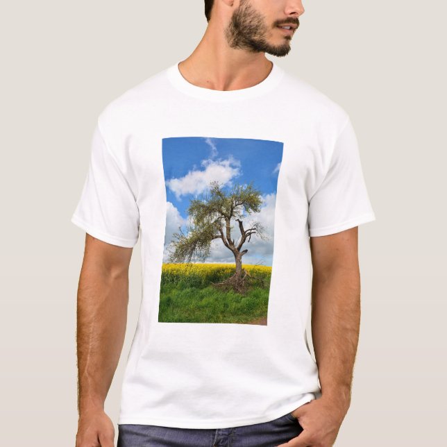 T-shirt Der alte Baum (Devant)