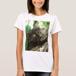 T-shirt Des chatons mignons