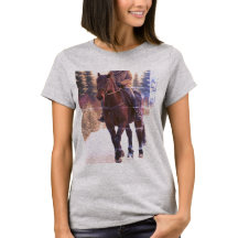 T - Shirt des Pferdes (Bild erstellt von Grok)