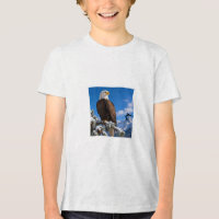 T-Shirt-Design eines Adlers @ Katzenkunst