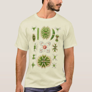 T-shirt Desmids