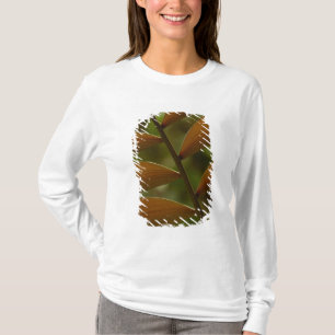 T-shirt Détail de palmier de sous-bois. Forêt nuageuse de 