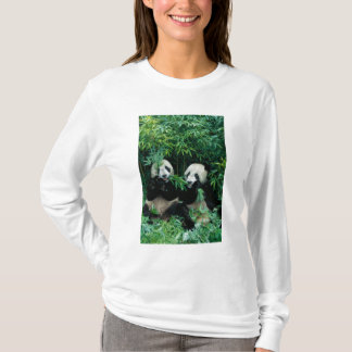 T-shirt Deux pandas mangeant du bambou ensemble, Wolong