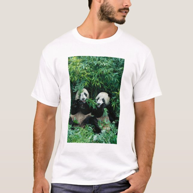 T-shirt Deux pandas mangeant du bambou ensemble, Wolong (Devant)