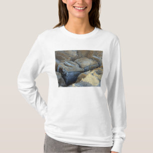 T-shirt Deux périphériques de type boîte emballés