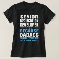 Développeur d'applications principal