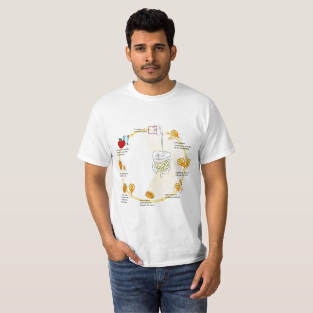 T-shirt Diagramme Giardia Cycle de vie Parasite (Devant entier)