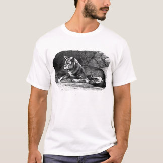 T-shirt dingo