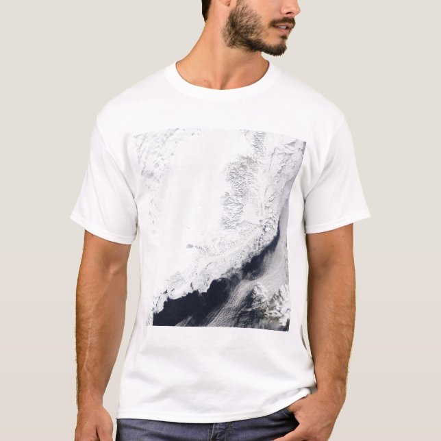 T-shirt Divers types de glace de mer (Devant)