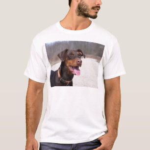 T-shirt Dobermann