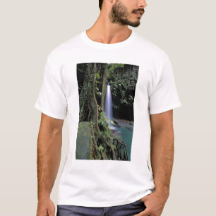 T-shirt Dominique, piscine d'émeraude, cascade.
