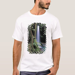 T-shirt Dominique, piscine d'émeraude, cascade.