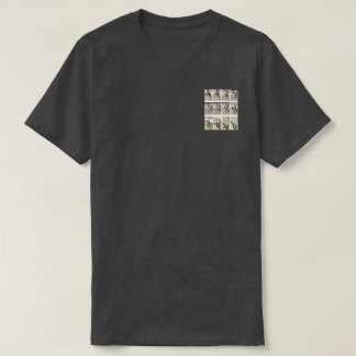 T-shirt DP et l'anatomie de la mise en page