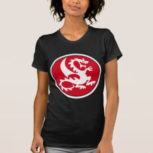 T-shirt dragon