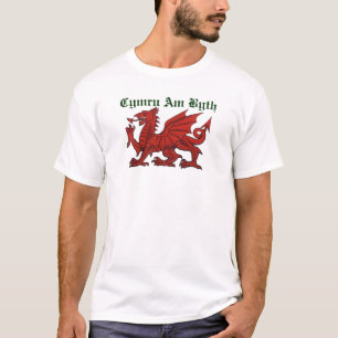 T-shirt Dragon de Gallois
