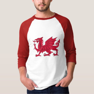 T-shirt Dragon né de Gallois avec le poème