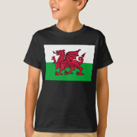 Drapeau celtique du Dragon rouge du Pays de Galles