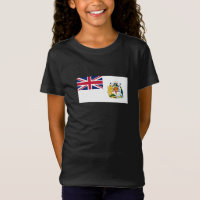 Drapeau du territoire antarctique britannique